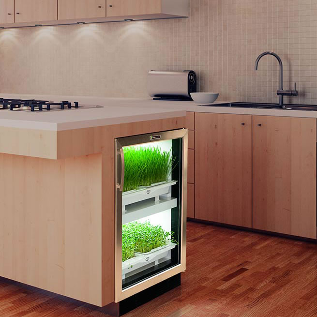 Urban Cultivator